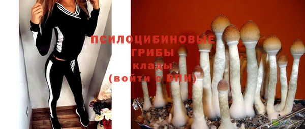 круглые Арсеньев