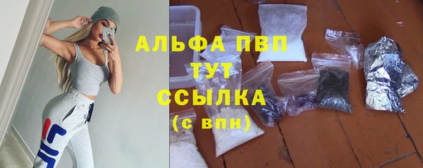 гашик Аркадак