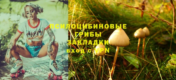 гашик Аркадак