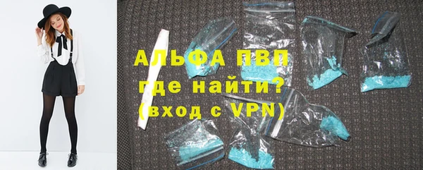гашик Аркадак